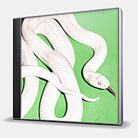 CD-диск DEFTONES - PRIVATE MUSIC (93624832263)