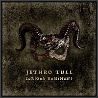 CD-диск JETHRO TULL - CURIOUS RUMINANT (198028618724)