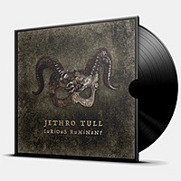 Виниловая пластинка JETHRO TULL - CURIOUS RUMINANT