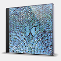 CD-диск SANTANA - BORBOLETTA