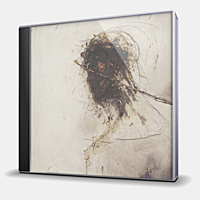 CD-диск GABRIEL, PETER - PASSION