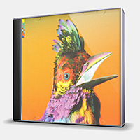 CD-диск FLUME - PALACES