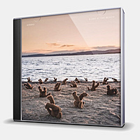 CD-диск AIRBAG - A DAY AT THE BEACH