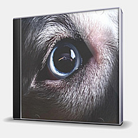 CD-диск WATERS ROGER - THE DARK SIDE OF THE MOON REDUX