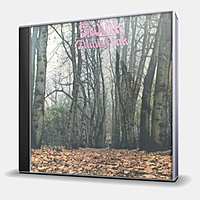 CD-диск TWINK - THINK PINK - 2CD