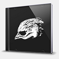 CD-диск LEGEND OF THE SEAGULLMEN - LEGEND OF THE SEAGULLMEN