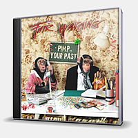 CD-диск FAIR WARNING - PIMP YOUR PAST