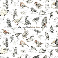 Виниловая пластинка EDWYN COLLINS - LOSING SLEEP (2 LP)