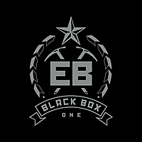 Виниловая пластинка EISBRECHER - BLACK BOX ONE (9 LP, 180 GR)