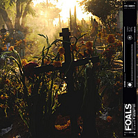 Виниловая пластинка FOALS - EVERYTHING NOT SAVED WILL BE LOST: PART 2 (LIMITED, COLOUR, 180 GR)