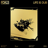 Виниловая пластинка FOALS - LIFE IS DUB (LIMITED, COLOUR)