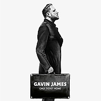 Виниловая пластинка GAVIN JAMES - ONLY TICKET HOME (180 GR)