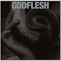 Виниловая пластинка GODFLESH - PURGE
