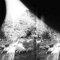 Виниловая пластинка GODSPEED YOU BLACK EMPEROR! - ASUNDER, SWEET AND OTHER DISTRESS (180 GR)