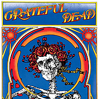 Виниловая пластинка GRATEFUL DEAD - GRATEFUL DEAD (SKULL & ROSES) (2 LP, 180 GR)