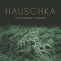 Виниловая пластинка HAUSCHKA - A DIFFERENT FOREST (180 GR)