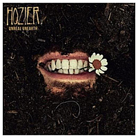 Виниловая пластинка HOZIER - UNREAL UNEARTH (2 LP)