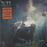 Виниловая пластинка HOZIER - WASTELAND, BABY! (2 LP, COLOUR)
