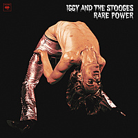 Виниловая пластинка IGGY & THE STOOGES - RARE POWER