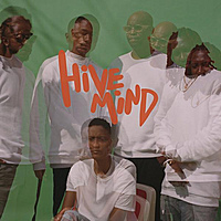 Виниловая пластинка INTERNET - HIVE MIND (2 LP)
