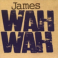 Виниловая пластинка JAMES - WAH WAH (2 LP)