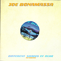 Виниловая пластинка JOE BONAMASSA - DIFFERENT SHADES OF BLUE (PICTURE)