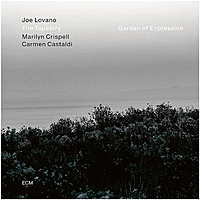 Виниловая пластинка JOE LOVANO & TRIO TAPESTRY - GARDEN OF EXPRESSION (180 GR)