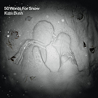 Виниловая пластинка KATE BUSH - 50 WORDS FOR SNOW (2 LP, 180 GR)