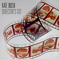Виниловая пластинка KATE BUSH - DIRECTOR'S CUT (2 LP, 180 GR)