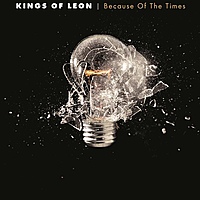 Виниловая пластинка KINGS OF LEON - BECAUSE OF THE TIMES (2 LP)