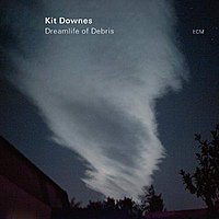 Виниловая пластинка KIT DOWNES - DREAMLIFE OF DEBRIS (180 GR)