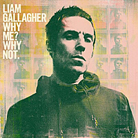 Виниловая пластинка LIAM GALLAGHER - WHY ME? WHY NOT.