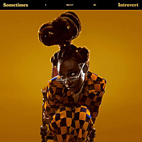 Виниловая пластинка LITTLE SIMZ - SOMETIMES I MIGHT BE INTROVERT (LIMITED, COLOUR, 2 LP)