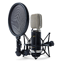 Студийный микрофон Marantz Professional MPM-3500R