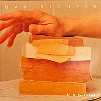 Виниловая пластинка MAX RICHTER - IN A LANDSCAPE (2 LP)