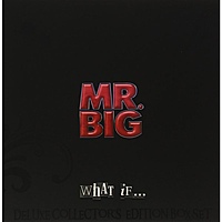 Виниловая пластинка MR BIG - WHAT IF (LP+CD+DVD)