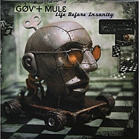 Виниловая пластинка GOV'T MULE - LIFE BEFORE INSANITY (2 LP, 180 GR)