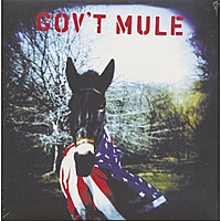 Виниловая пластинка GOV'T MULE - GOV'T MULE (2 LP)