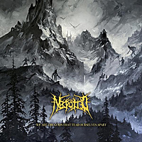 Виниловая пластинка NECROTTED – WE ARE THE GODS THAT TEAR OURSELVES APART