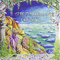 Виниловая пластинка OZRIC TENTACLES - ERPLAND (2 LP)
