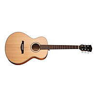 Акустическая гитара Parkwood S23-GT