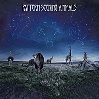 Виниловая пластинка PATTERN-SEEKING ANIMALS - PATTERN-SEEKING ANIMALS (2 LP + CD, 180 GR)