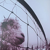 Виниловая пластинка PEARL JAM - VS (45 RPM, 30TH ANNIVERSARY, 2 LP)