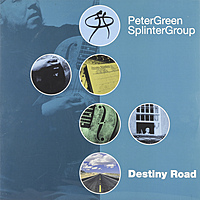 Виниловая пластинка PETER GREEN - DESTINY ROAD (2 LP)