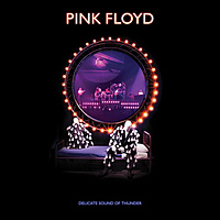 Виниловая пластинка PINK FLOYD - DELICATE SOUND OF THUNDER (RESTORED, RE-EDITED, REMIXED) (180 GR, 3 LP)