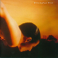Виниловая пластинка PORCUPINE TREE - ON THE SUNDAY OF LIFE (2 LP)