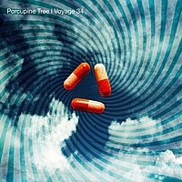 Виниловая пластинка PORCUPINE TREE - VOYAGE 34 (2 LP)
