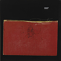 Виниловая пластинка RADIOHEAD - AMNESIAC (2 LP, 45 RPM)