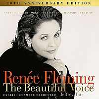 Виниловая пластинка RENEE FLEMING - BEAUTIFUL VOICE (2 LP)
