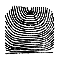 Виниловая пластинка RIVAL CONSOLES - HOWL (2 LP)